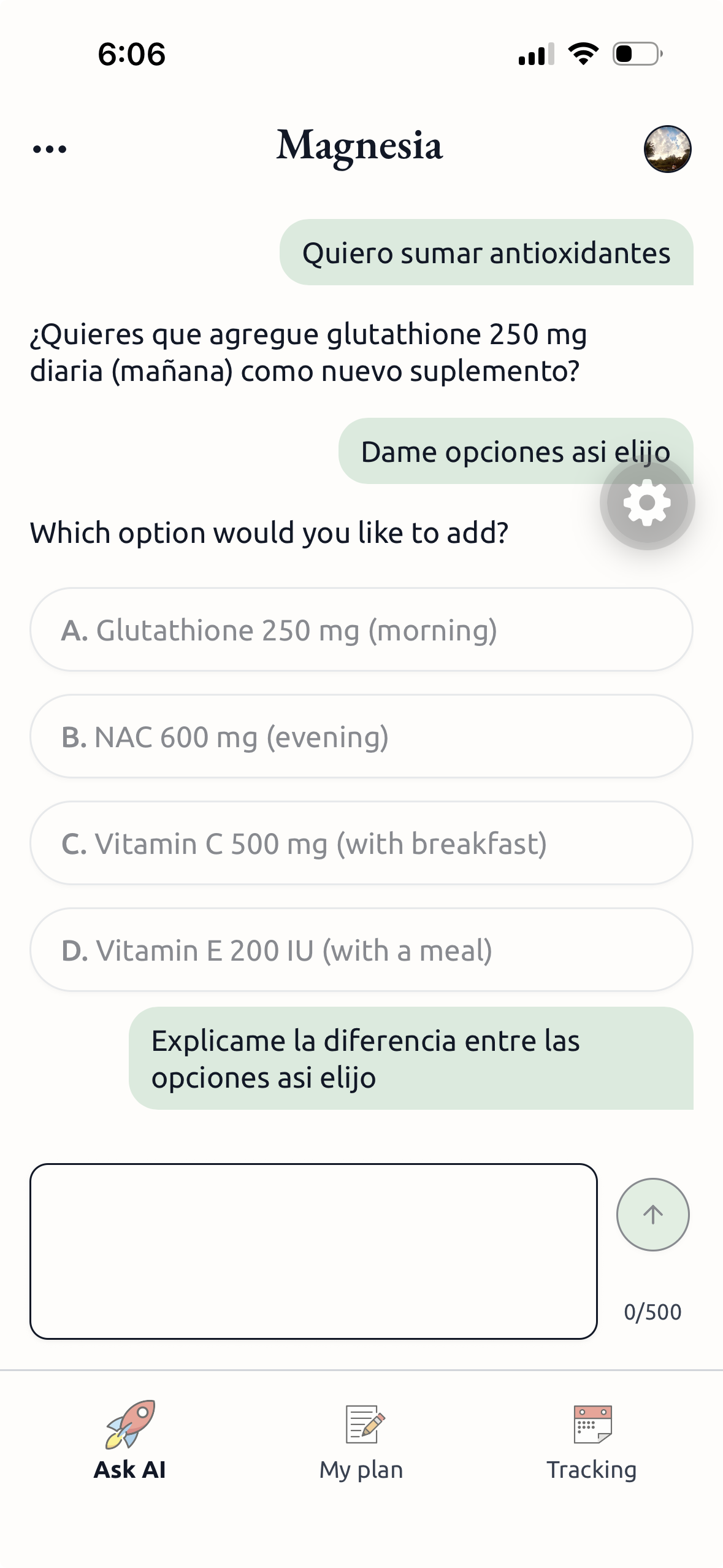 Magnesia AI assistant screen
